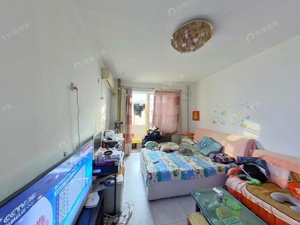 东城龙潭湖整租 向新西里2室1厅/61平/中楼层