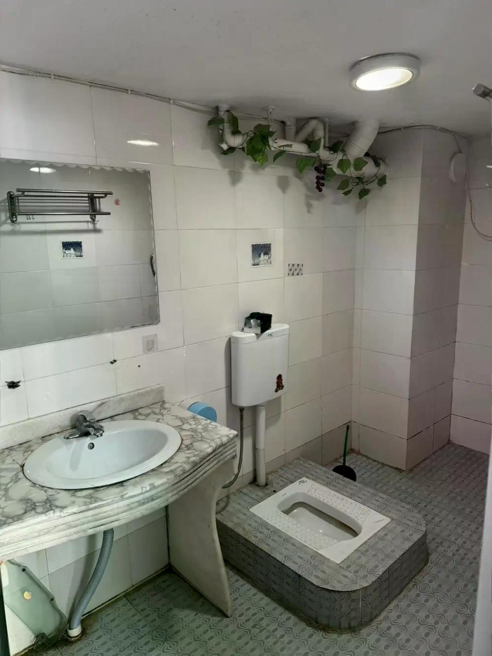 合租·横岗塘坑村