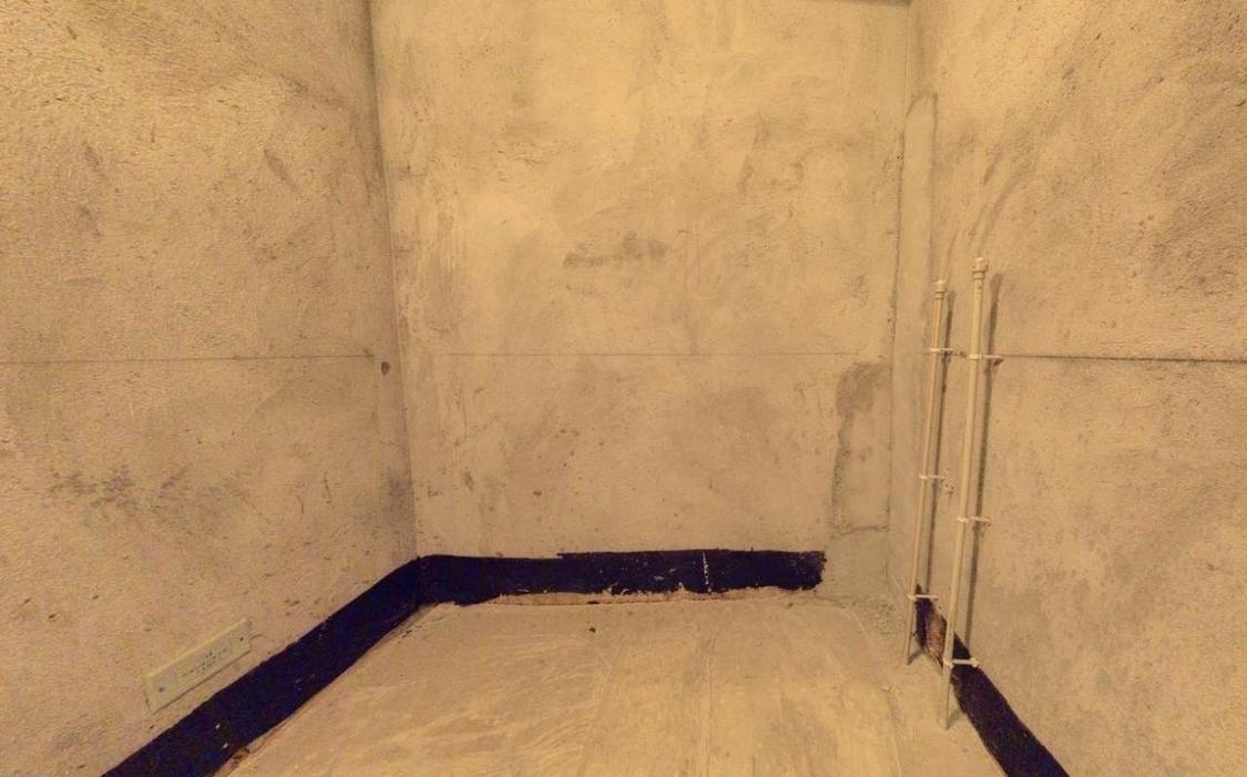 整租·半岛名邸