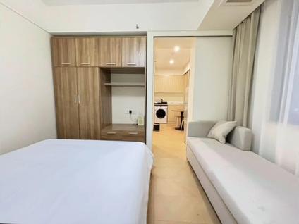 徐汇虹梅路整租 上海远中产业园1室1厅/41平/中楼层