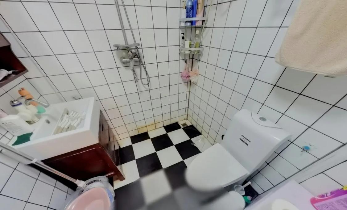 整租·大园新居