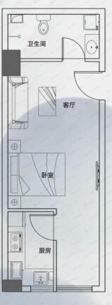 云峰国际1室1厅1卫户型图