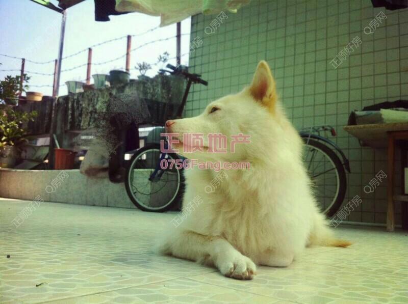 整租·田德花园(A区）