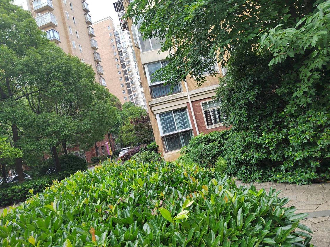 整租·荣鑫都市佳园