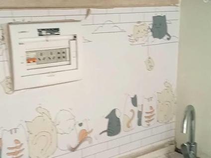 盘龙金殿整租 都市名典1室0厅/43平/低楼层