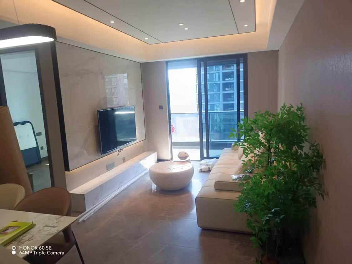 整租·金樾玖著