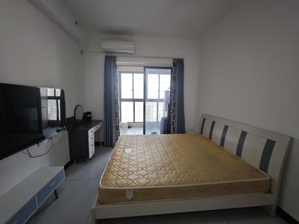 江海外海整租 海逸星宸1室0厅/31平/高楼层