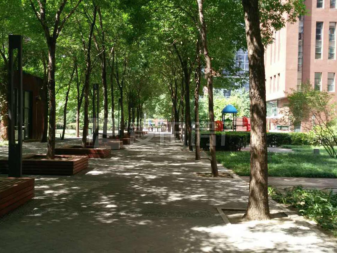 整租·蓝堡国际公寓(南区)