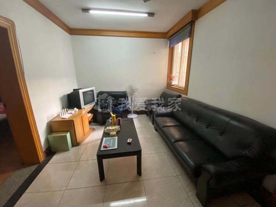 整租·东新南路