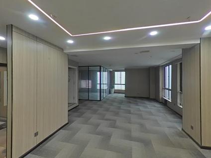 高新鱼化寨整租 国宾中央区1室1厅/242平/低楼层