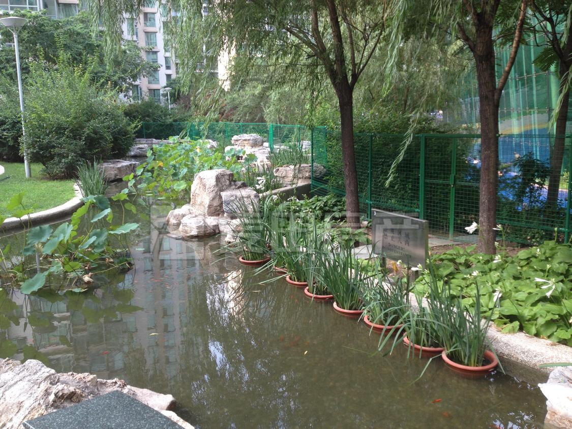 整租·海晟名苑(南区)