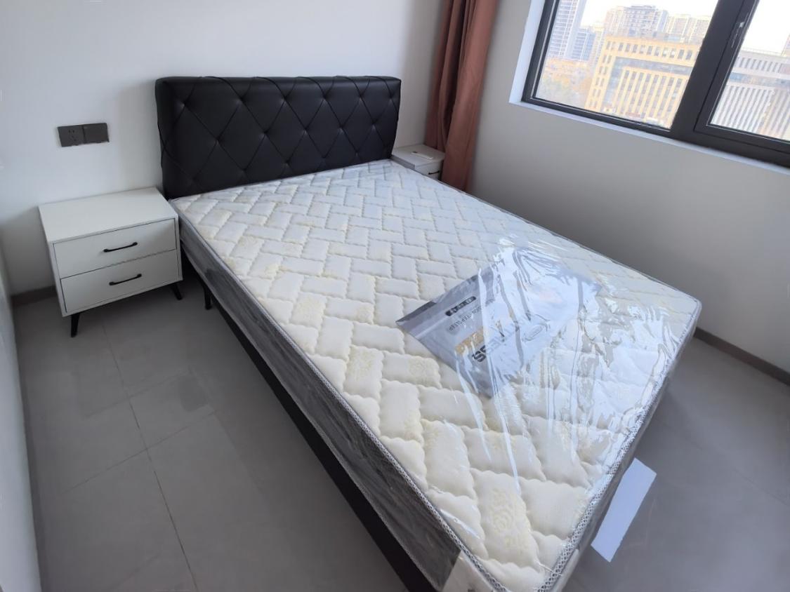 整租·春语明轩(南苑)