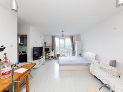 海淀万柳整租 万柳蜂鸟家园1室1厅/47平/中楼层