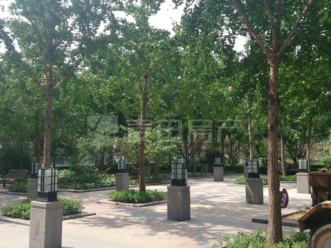 整租·富力爱丁堡公馆