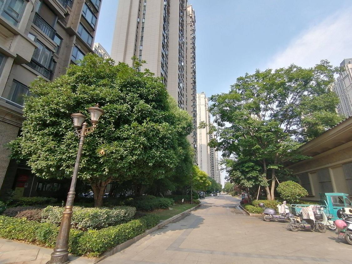 整租·观澜国际
