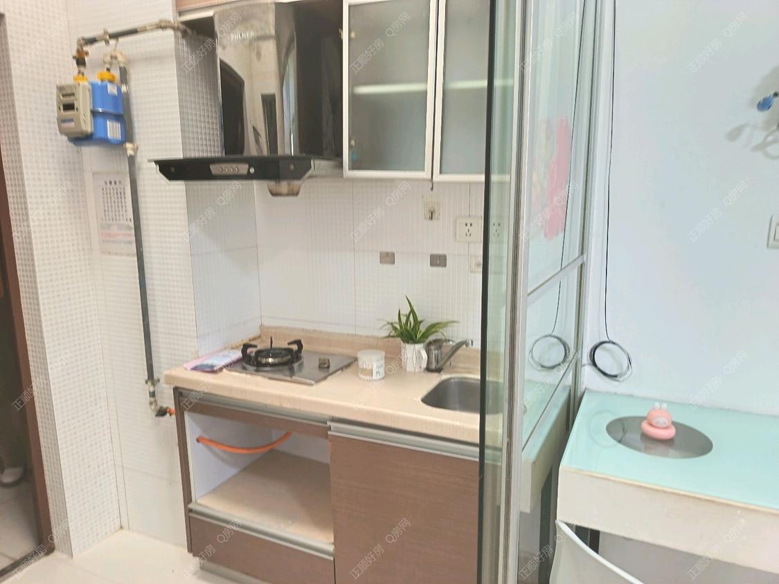 整租·嘉年华国际公寓