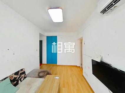 徐汇华东理工整租 凌云新村1室1厅/49平/高楼层