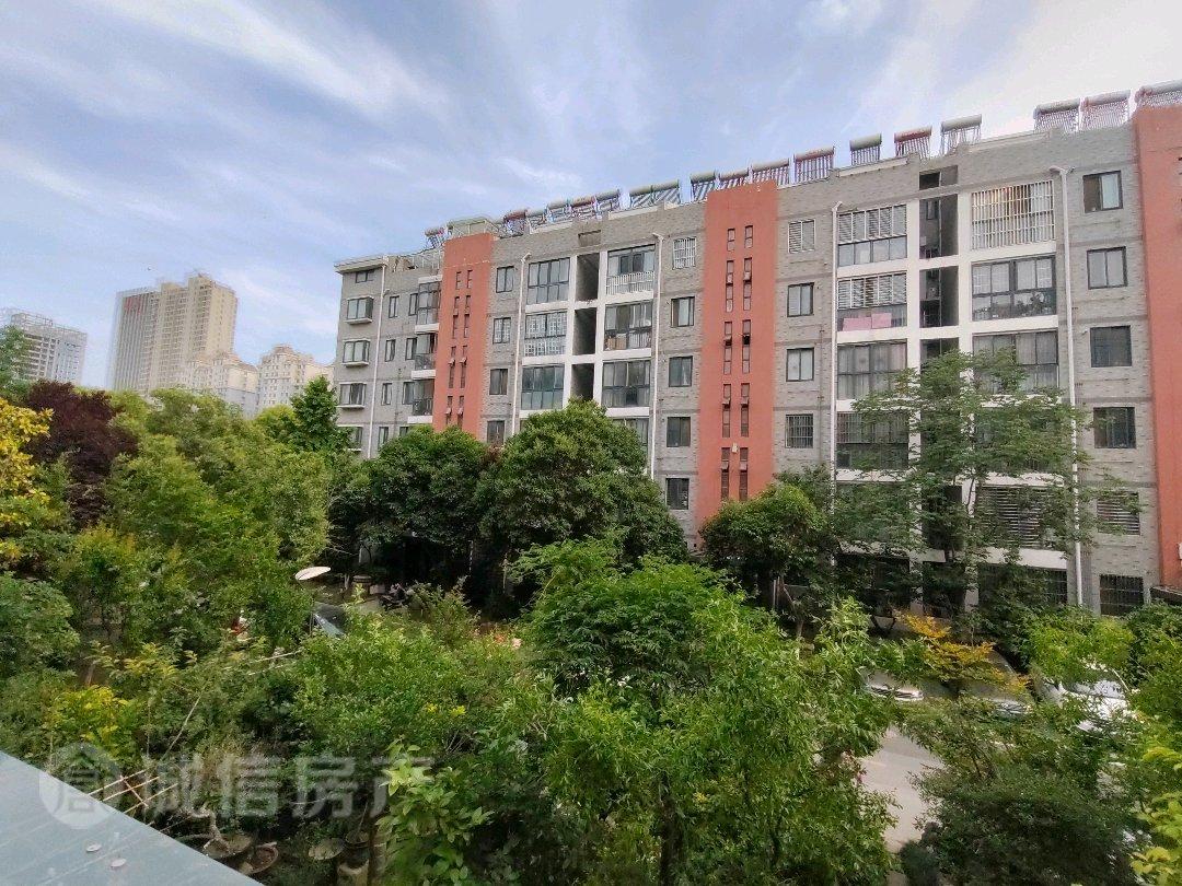 整租·明日·世纪花园