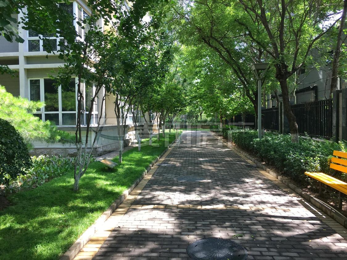 整租·亮马名居