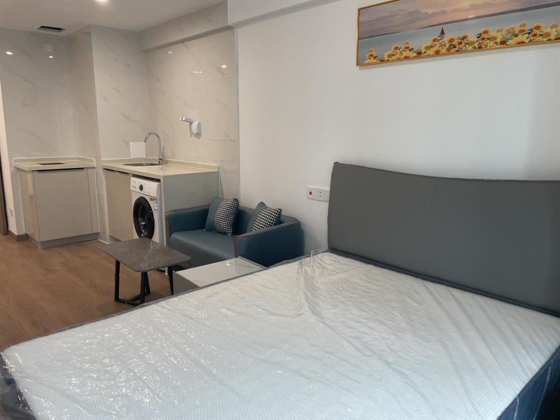 整租·龙湖光年