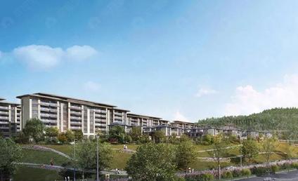 北京金茂国际新城呈贡 市政府/建面220平-311平