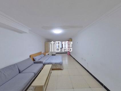 西城西直门整租 前半壁街小区1室1厅/38平/低楼层