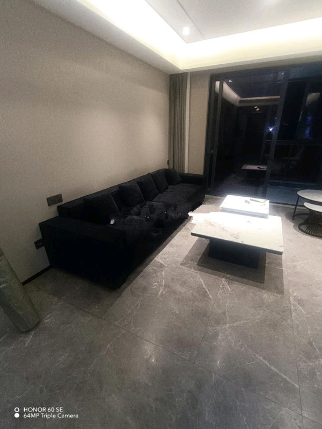 整租·金樾玖著