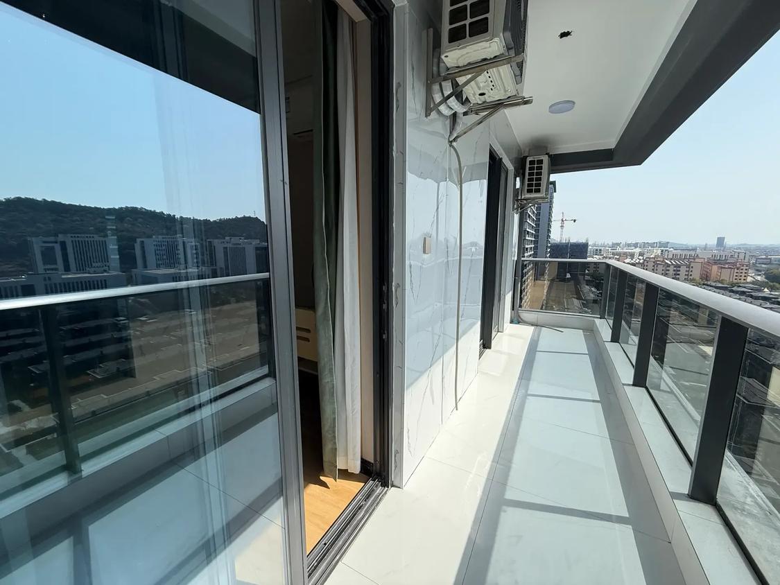 整租·金樾玖著