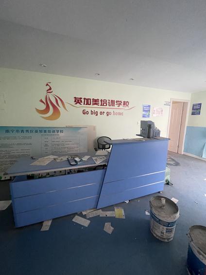 青秀金湖广场整租 金湖帝景小区2室2厅/250平/高楼层