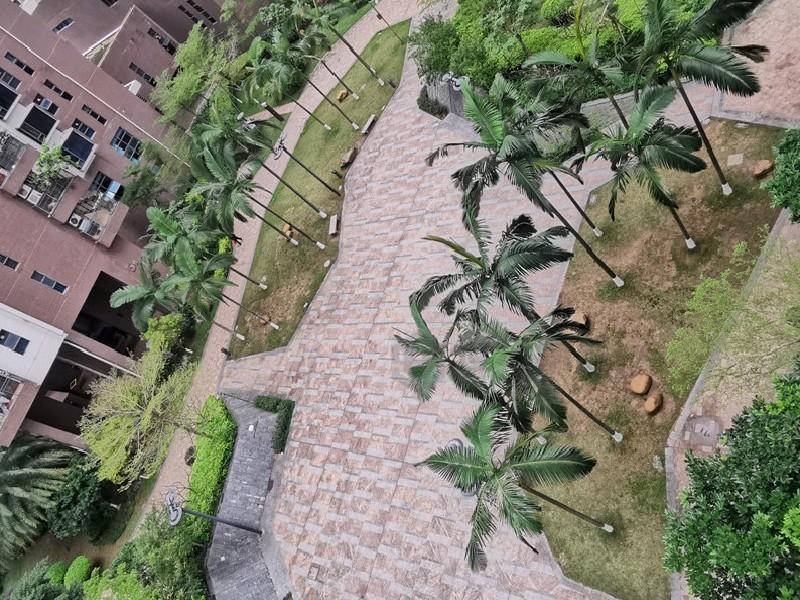 整租·中银名苑