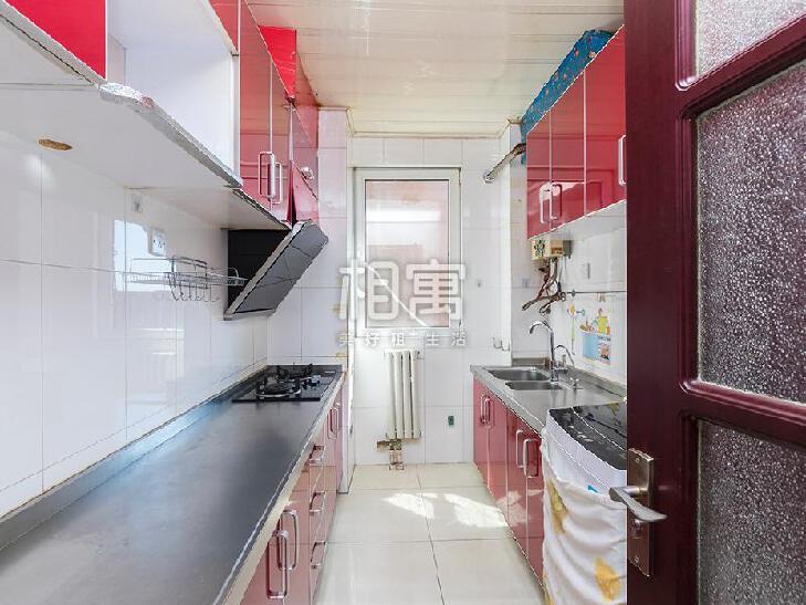 合租·金顶阳光