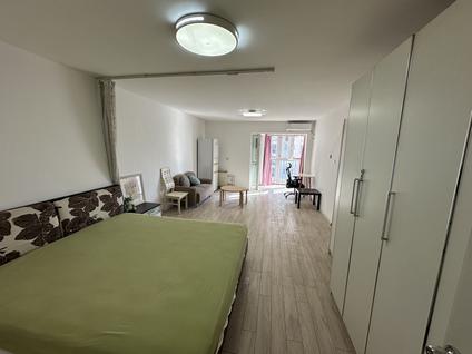 朝阳望京整租 利泽西园(一区)1室1厅/55平/低楼层