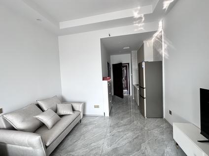 仁和区花城新区整租 阳光溪山春晓1室1厅/45平/高楼层