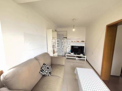 徐汇华东理工整租 凌云新村1室1厅/49平/高楼层