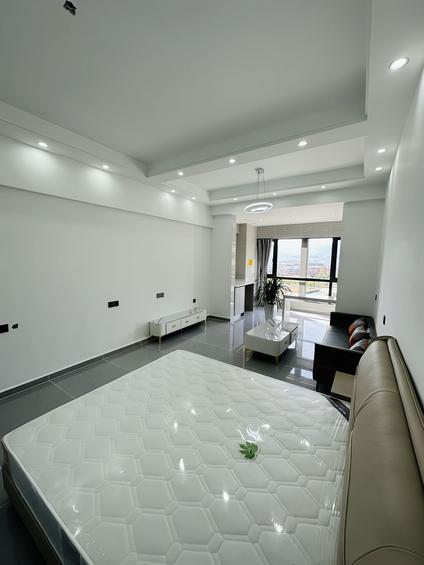 朝阳豆各庄整租 富力又一城(C区)1室1厅/40平/低楼层