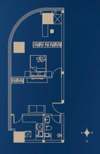 泰尔云水壹号1室1厅1卫户型图
