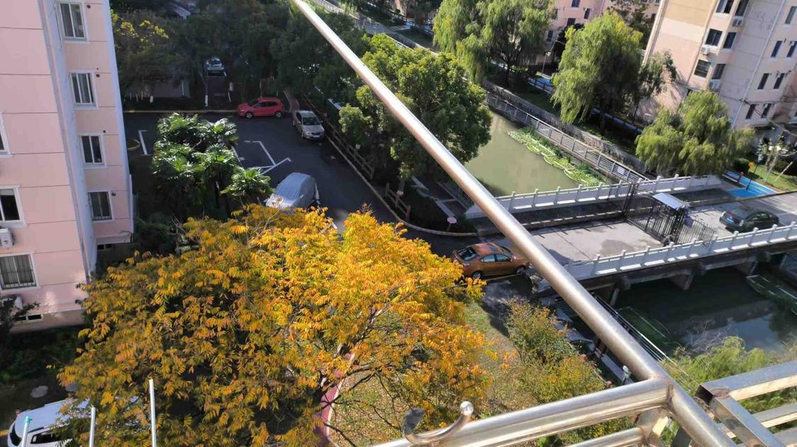 整租·玲桂花苑