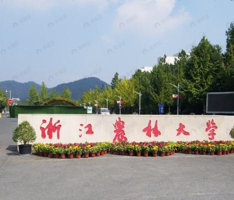 桃李西径效果图