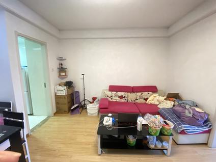 肥西肥西县城整租 禹洲华侨城(三期枫园)1室1厅/49平/中楼层