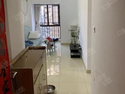 龙华龙华区政府整租 华盛峰荟名庭1室1厅/49平/中楼层