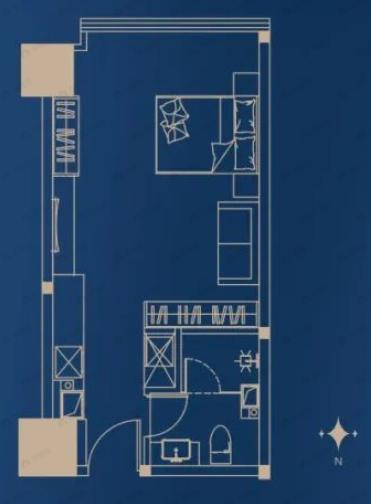 泰尔云水壹号1室1厅1卫户型图