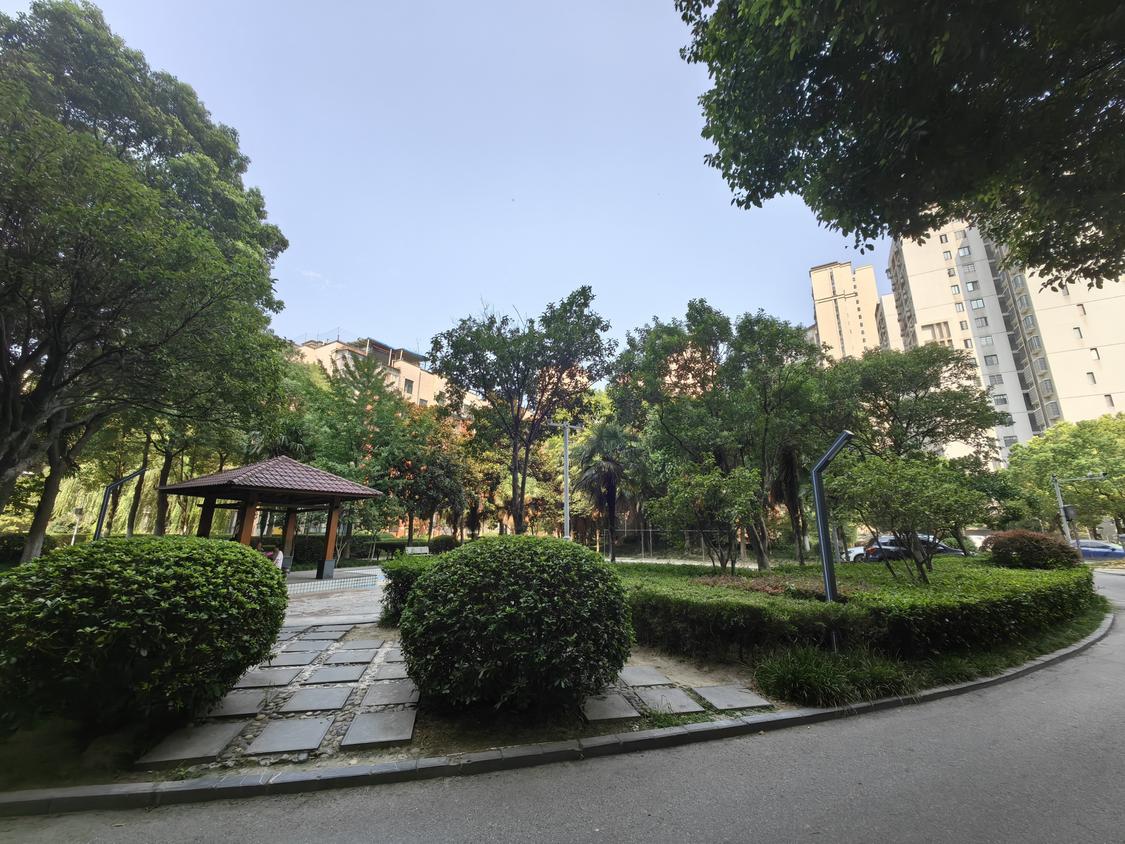 整租·景湖美树林
