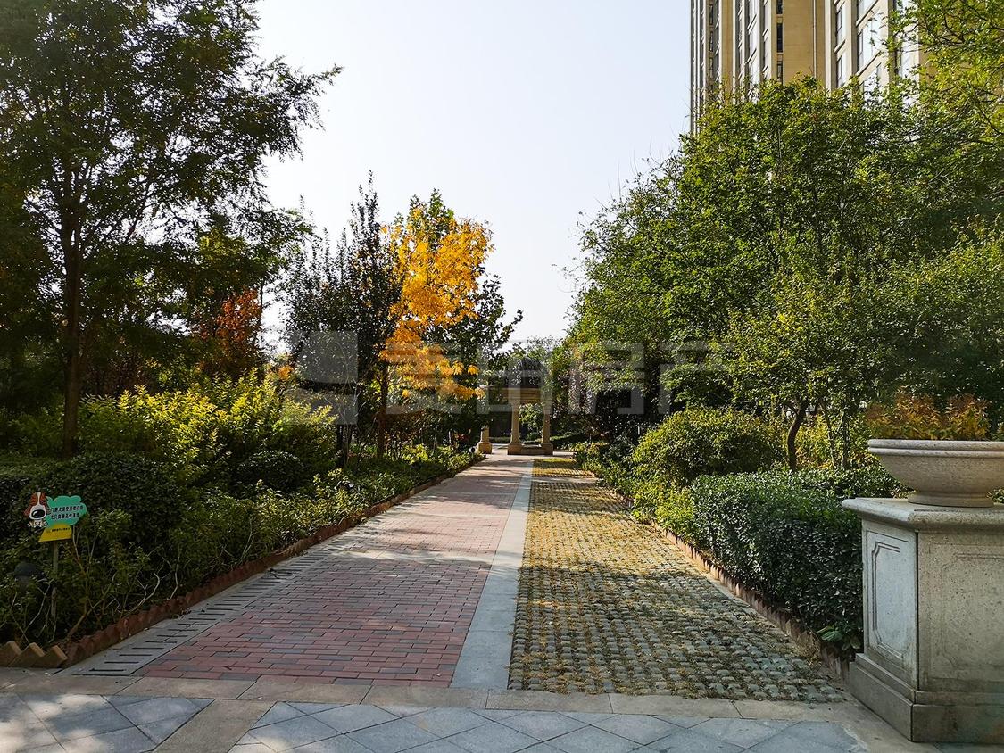 整租·丽都壹号