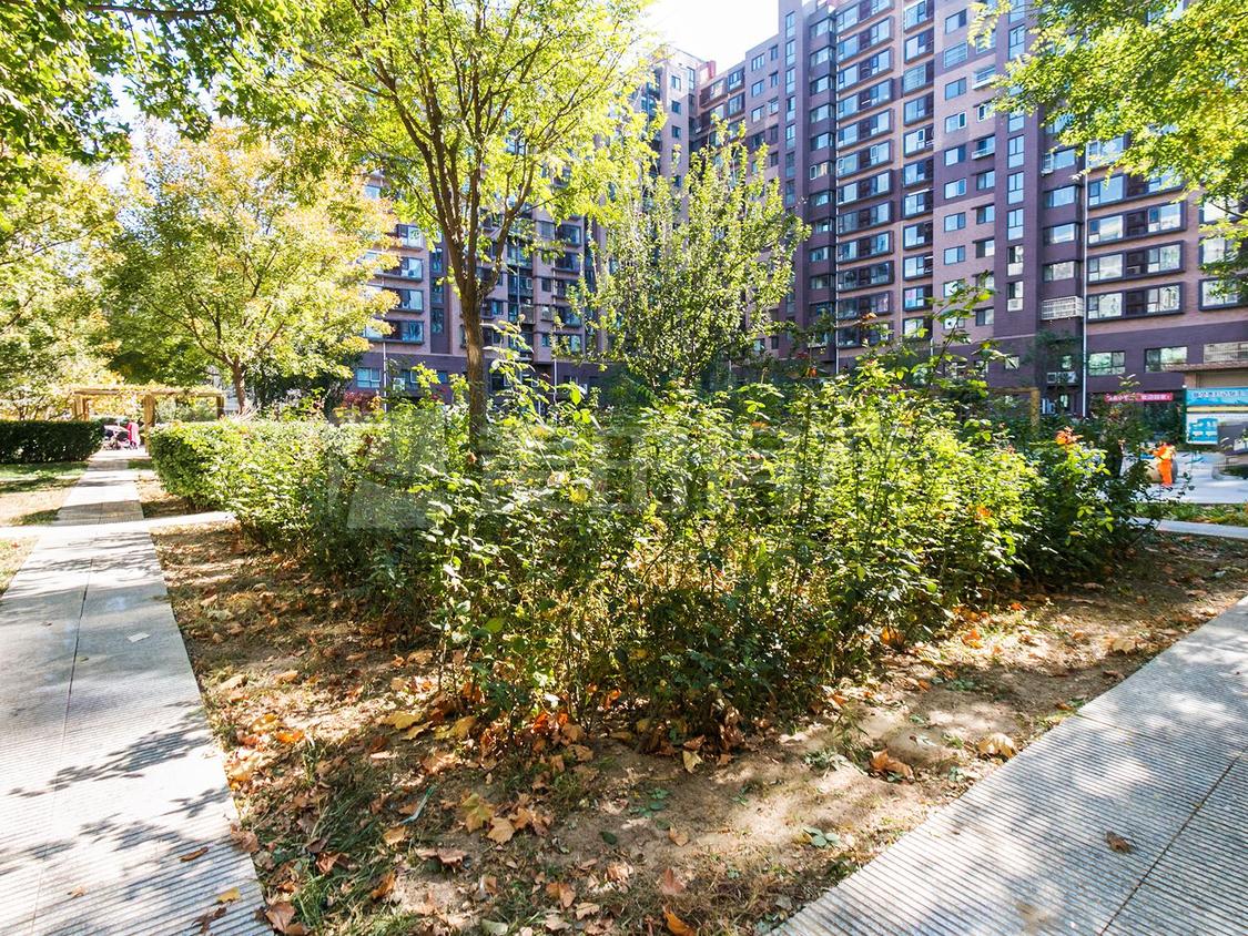 整租·新景家园(东区)