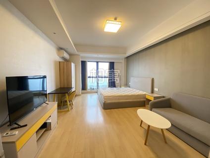 临平临平整租 理想银泰城1室1厅/51平/高楼层