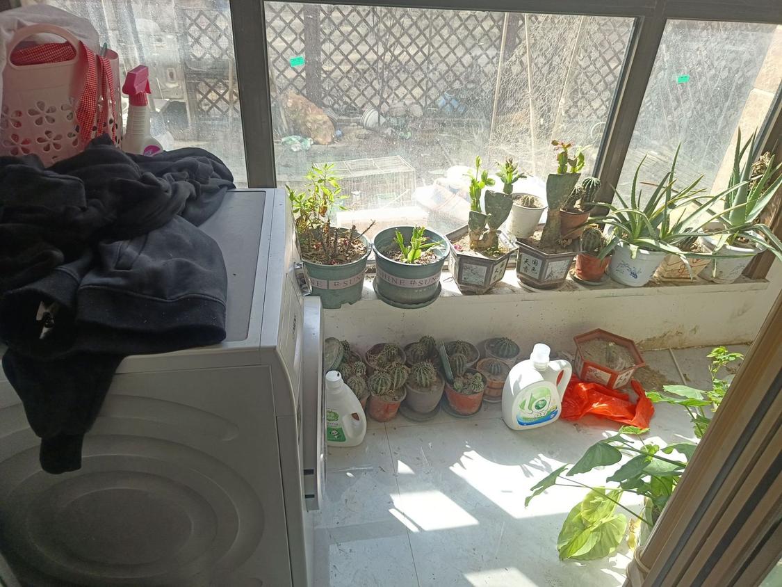 整租·新天地(枣强)