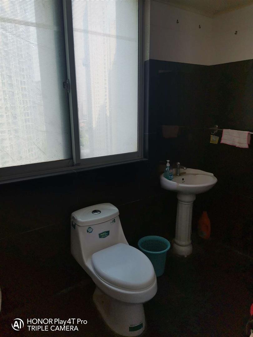 整租·金马商城