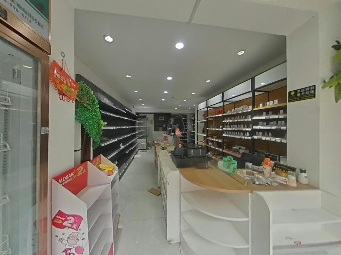 整租·红星紫御半山