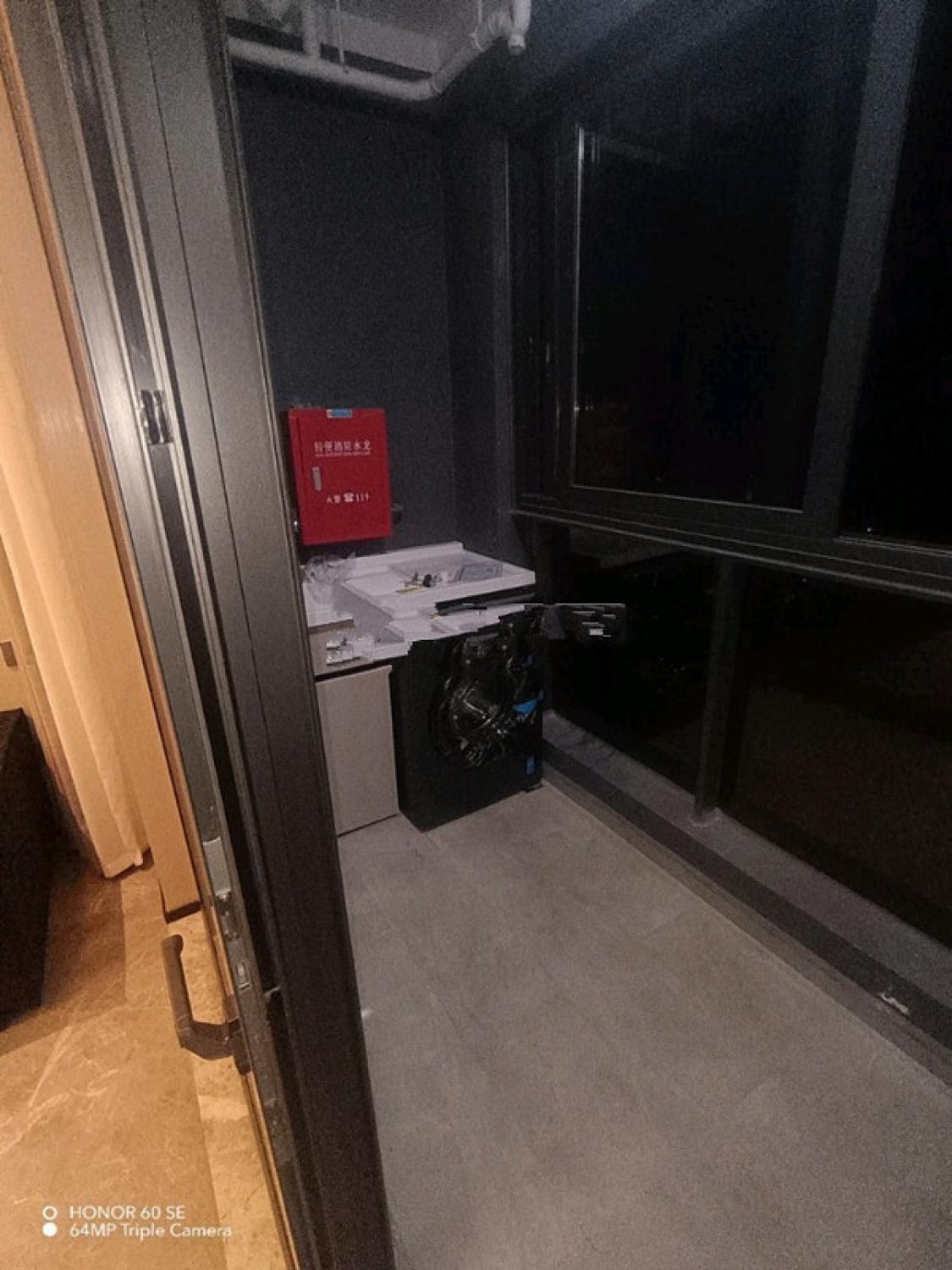 整租·金樾玖著