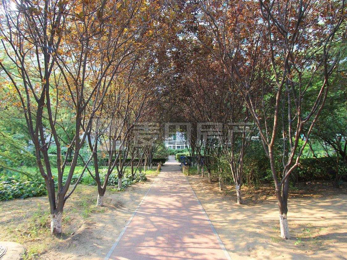 整租·观澜国际花园